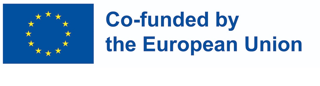 Co-funded by the European Union