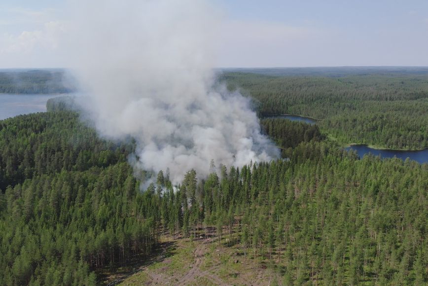 Forested lake scenery viewed from above. Smoke is rising from a large area in the middle of the forest.