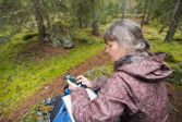 En vandrare sitter i en gammal mossbevuxen skog. Hon har en ryggsäck vid sina fötter, en friluftsjacka på sig och en telefon i sin hand, på vilken hon tittar på en karta.