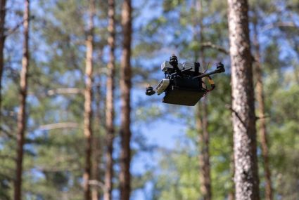 drooni lentää metsässä